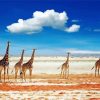 Giraffes On Beach Diamond Paintings