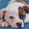 American Bulldog Puppy Diamond Paintings