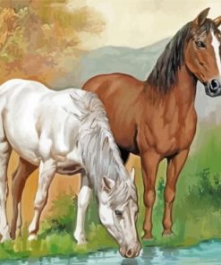 Horses Drinking Water Diamond Paintings