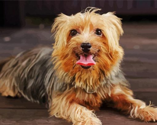 Australian Terrier Puppy Diamond Paintings