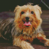 Australian Terrier Puppy Diamond Paintings