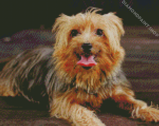 Australian Terrier Puppy Diamond Paintings