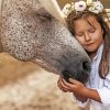 Girl With Horse Diamond Paintings