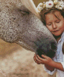 Girl With Horse Diamond Paintings