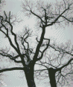 Black And White Trees Diamond Paintings