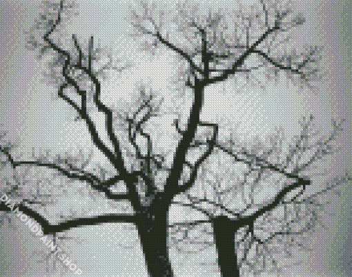 Black And White Trees Diamond Paintings