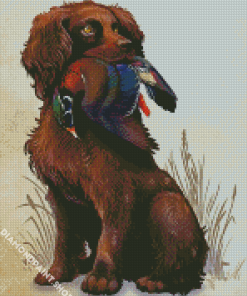 Boykin Spaniel Dog Diamond Paintings