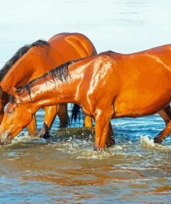 Horses Drinking Diamond Paintings