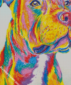 Colorful Staffy Dog Diamond Paintings