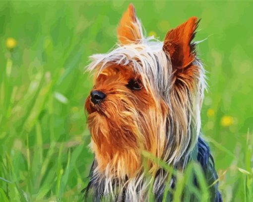 Australian Terrier Diamond Paintings