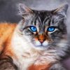 Cute Cat Pastel Diamond Paintings