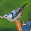 Breasted Nuthatch Diamond Paintings