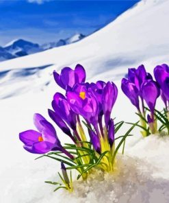 Flowers In Snow Diamond Paintings