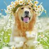 Golden Retrievers Diamond Paintings