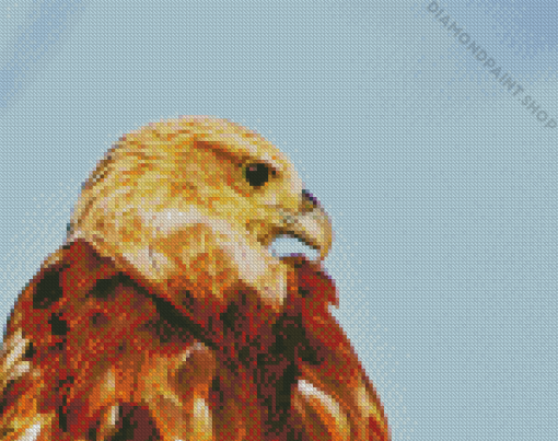 Indian Eagle Diamond Paintings