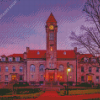 Indiana University Diamond Paintings