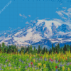 Mountain Rainier Diamond Paintings