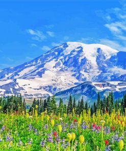 Mountain Rainier Diamond Paintings