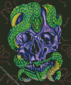 Skull With Green Snake Diamond Paintings