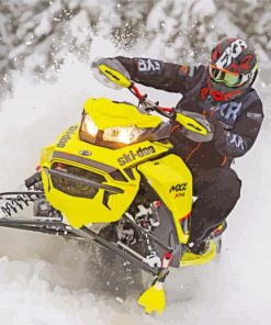 Snowmobile Rider Diamond Paintings