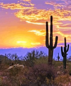 Southwest Desert Diamond Paintings