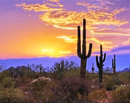 Southwest Desert Diamond Paintings