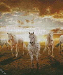 White Five Horses Diamond Paintings