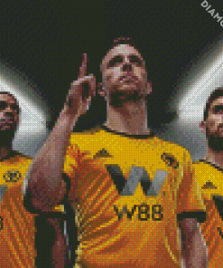 Wolverhampton PlayersDiamond Paintings