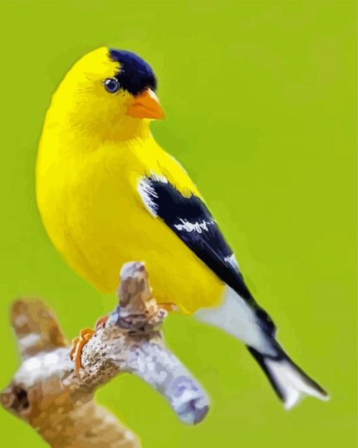 Yellow Finche Bird Diamond Paintings