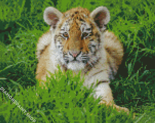 Baby Tiger Diamond Paintings