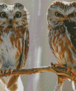 Couple Owl Diamond Paintings