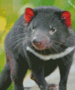 Tasmanian Devil Diamond Paintings