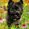 Cairn Terrier Dog Diamond Paintings