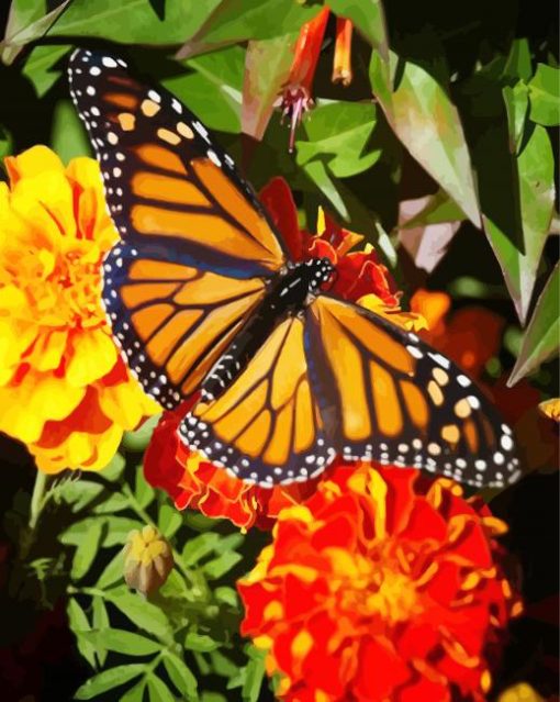 Marigolds With Butterfly Diamond Paintings