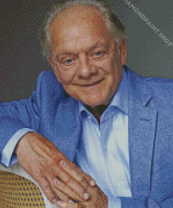 Classy David Jason Diamond Paintings