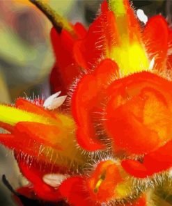 Close up Indian Paintbrush Diamond Paintings