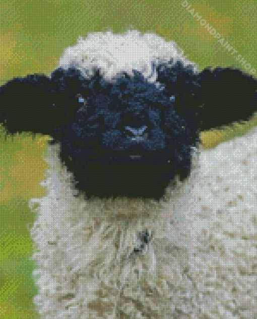 Cute Blacknose Sheep Diamond Paintings