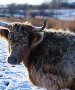 Grey Yak Animal Diamond Paintings