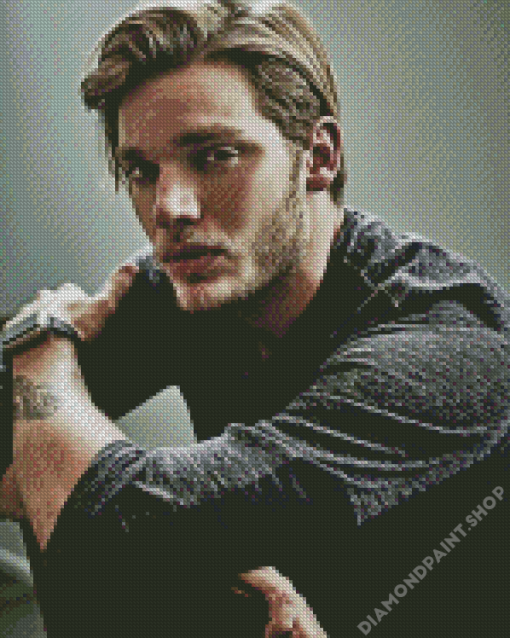 Dominic Sherwood Diamond Paintings