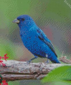 Blue Indigo Bunting Diamond Paintings