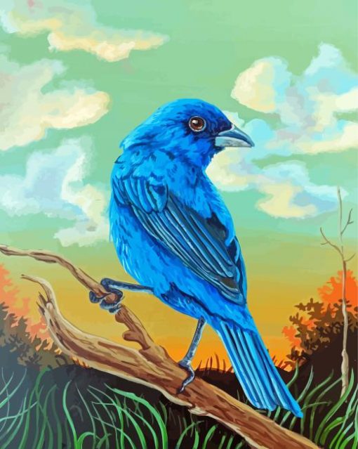 Indigo Bunting Bird Diamond Paintings