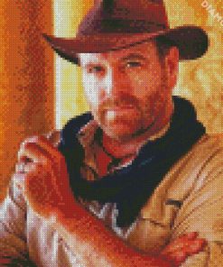 Josh Gates Diamond Paintings