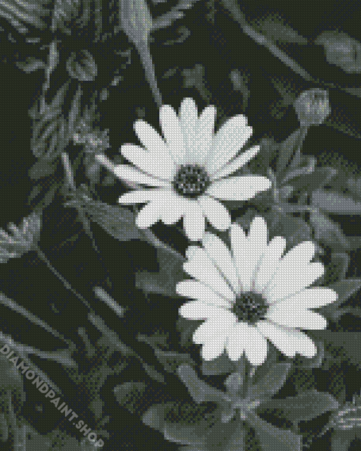 Monochrome Flowers Diamond Paintings