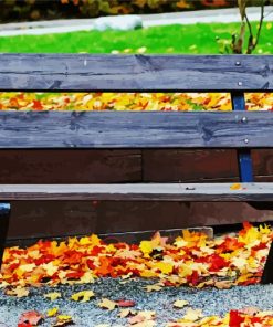 Bench Park Diamond Paintings