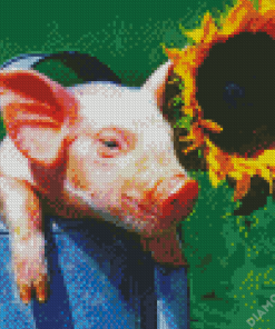 Flying Pig Diamond Paintings