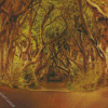 Game Of Thrones Trees Road Diamond Paintings