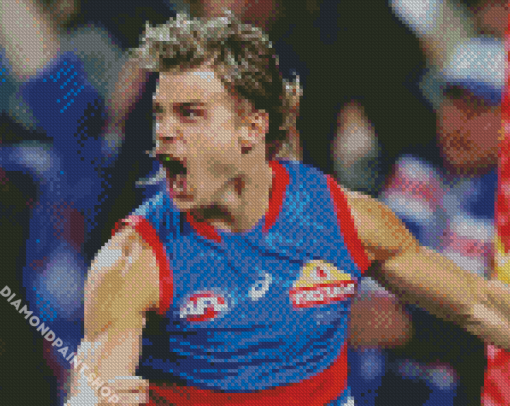 Western Bulldogs Player Diamond Paintings