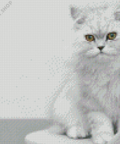 Persian Kitty Diamond Paintings