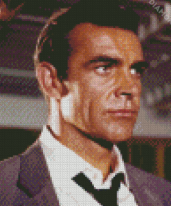 Yong Sean Connery Diamond Paintings