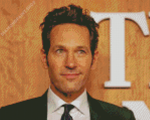 Classy Paul Rudd Diamond Paintings